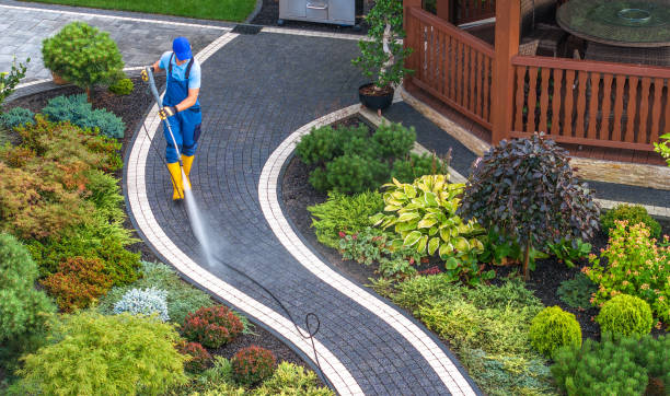 Best Roof Power Washing Services  in Marble Falls, TX